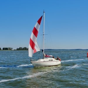 Begrüßungen auf dem Meer