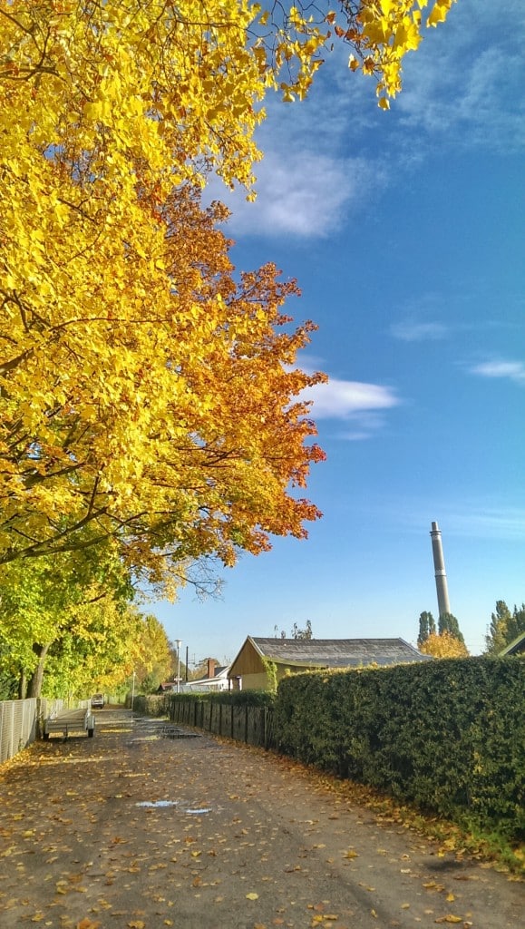 Morning Run - Motiviert in den Tag starten