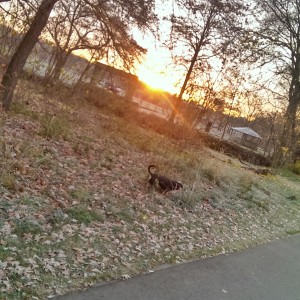 Wakeup Run mit Benny
