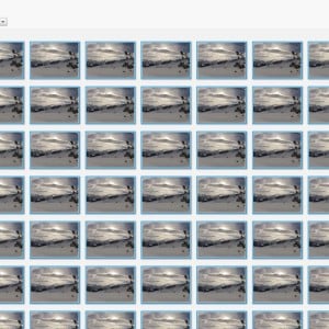 1) Picasa Bilder markieren